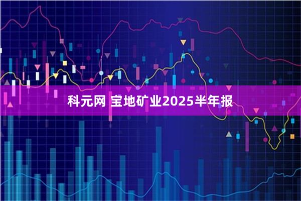 科元网 宝地矿业2025半年报