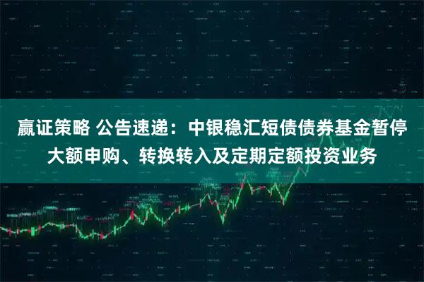 赢证策略 公告速递：中银稳汇短债债券基金暂停大额申购、转换转入及定期定额投资业务