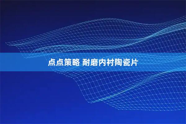 点点策略 耐磨内衬陶瓷片